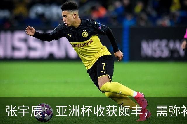 张宇辰：亚洲杯收获颇丰，需弥补短板以备战世界杯
